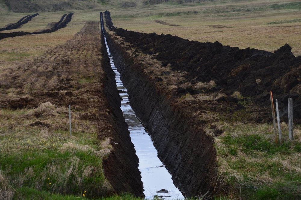 Mynd sem tengist textanum