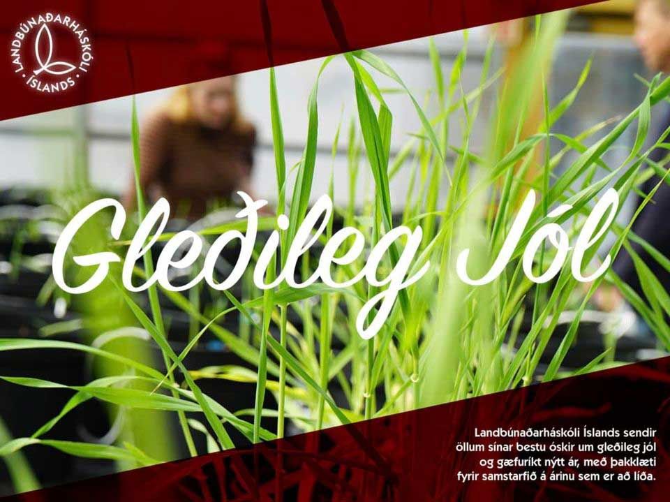 Mynd sem tengist textanum