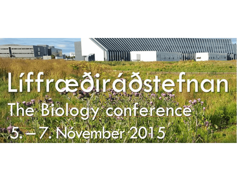 Mynd sem tengist textanum