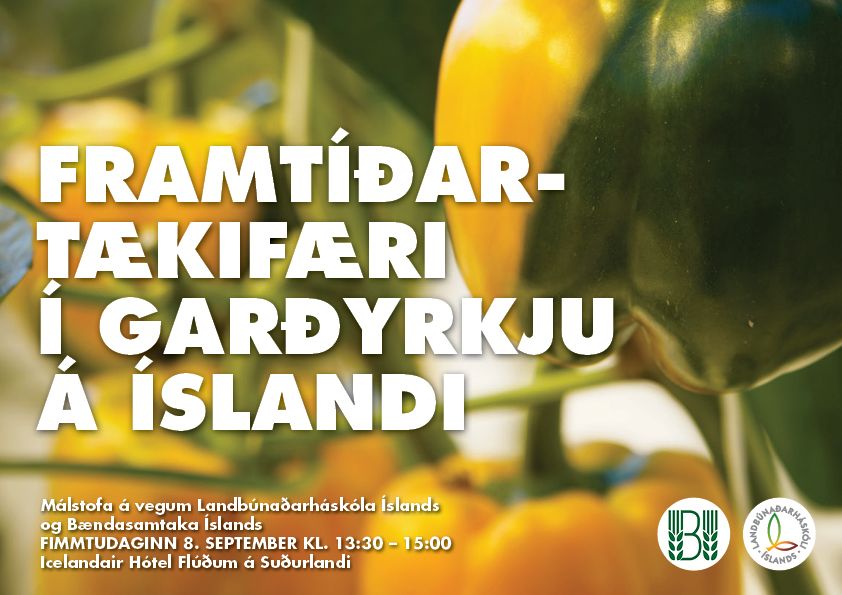 Mynd sem tengist textanum