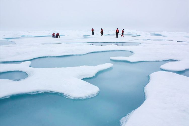 Mynd sem tengist textanum