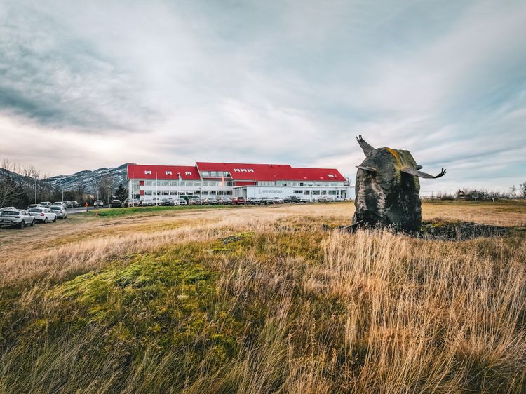 Mynd sem tengist textanum