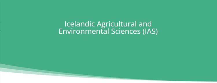 Mynd sem tengist textanum