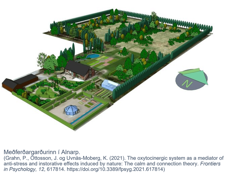 Mynd sem tengist textanum