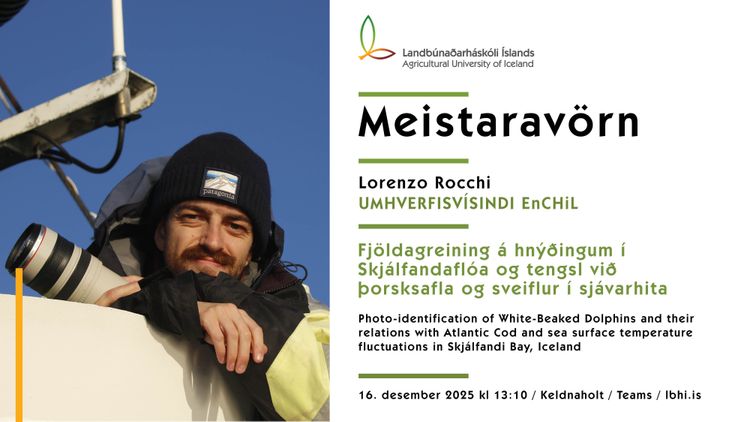 Mynd sem tengist textanum