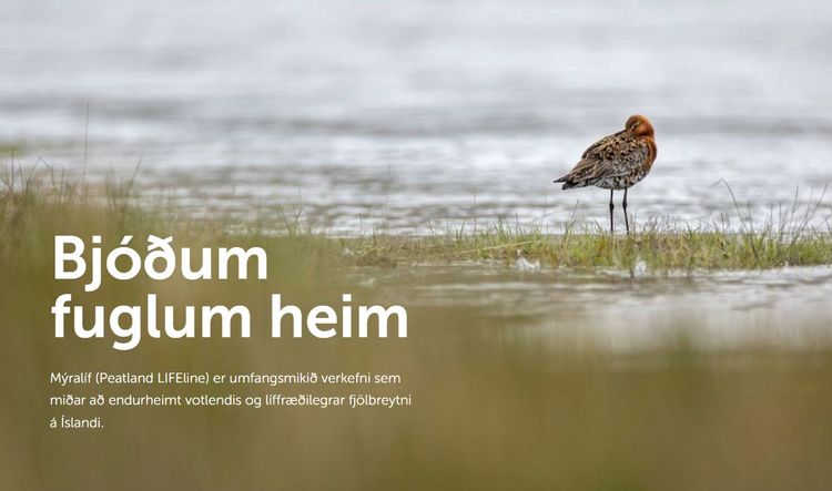 Mynd sem tengist textanum
