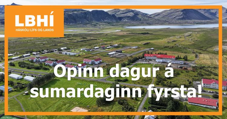 Mynd sem tengist textanum