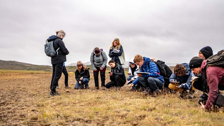 Mynd sem tengist textanum