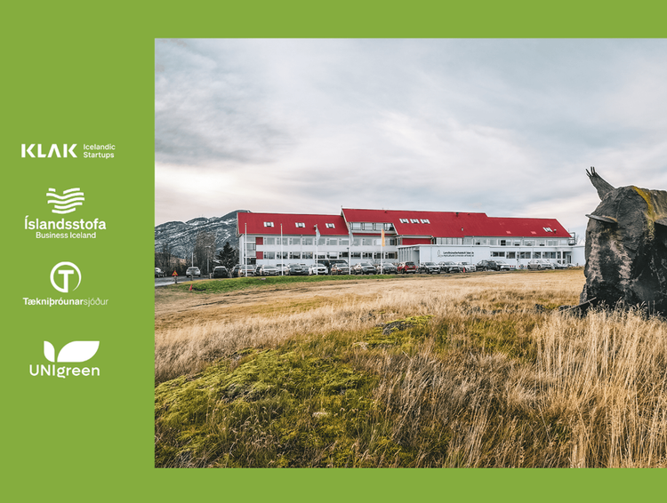 Mynd sem tengist textanum