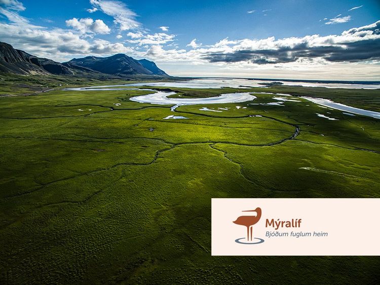 Mynd sem tengist textanum