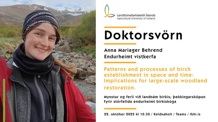 Mynd sem tengist textanum