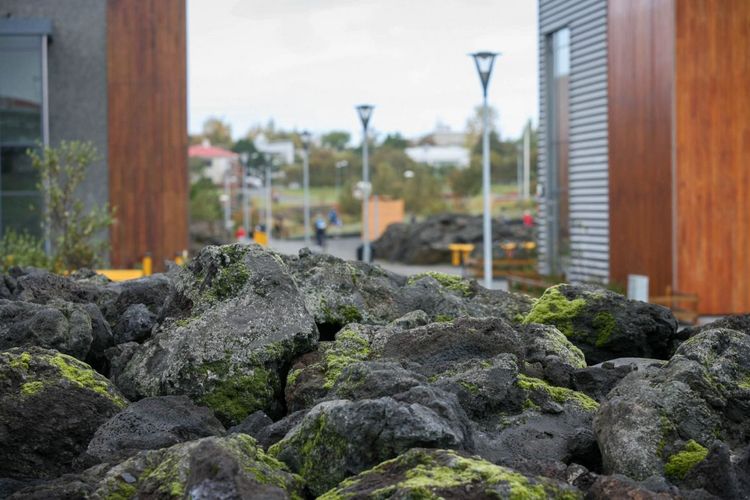 Mynd sem tengist textanum