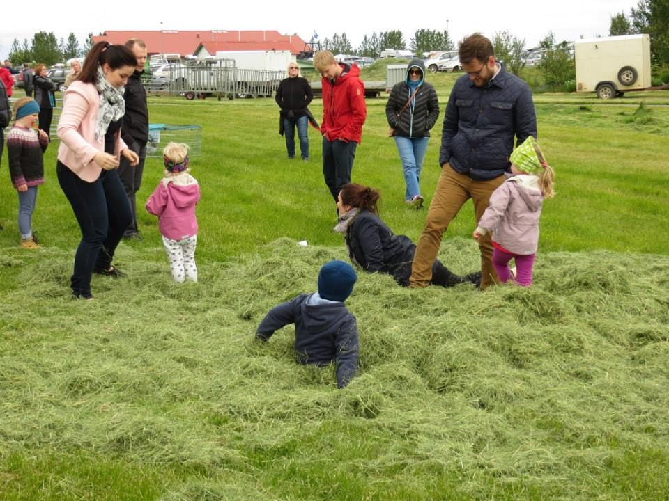 Mynd sem tengist textanum