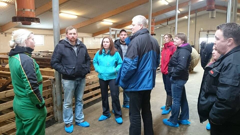 Mynd sem tengist textanum