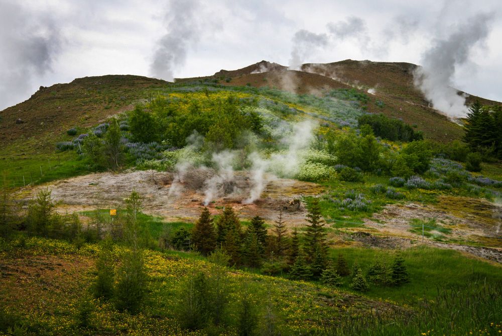 Mynd sem tengist textanum