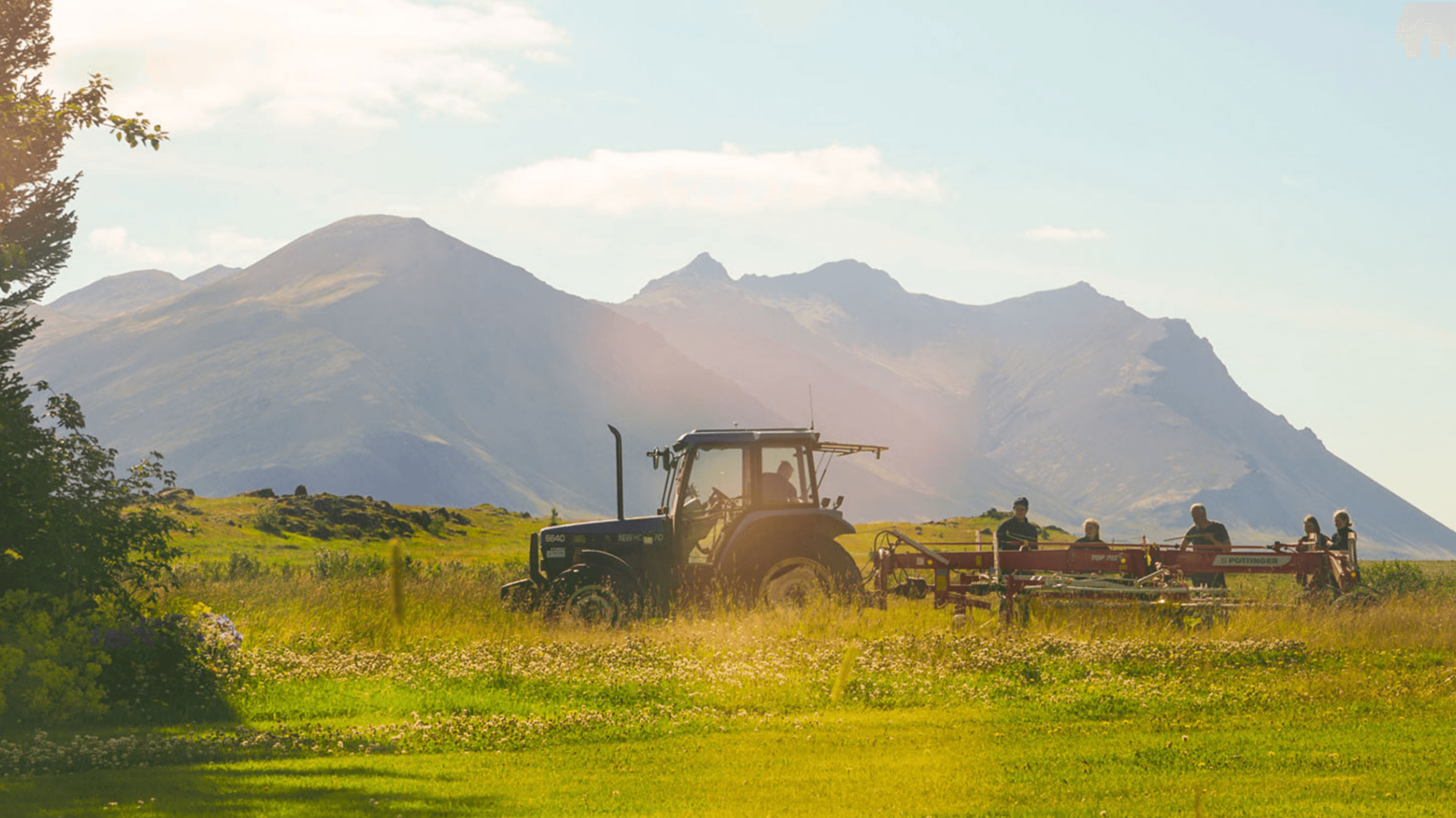 Mynd sem tengist textanum