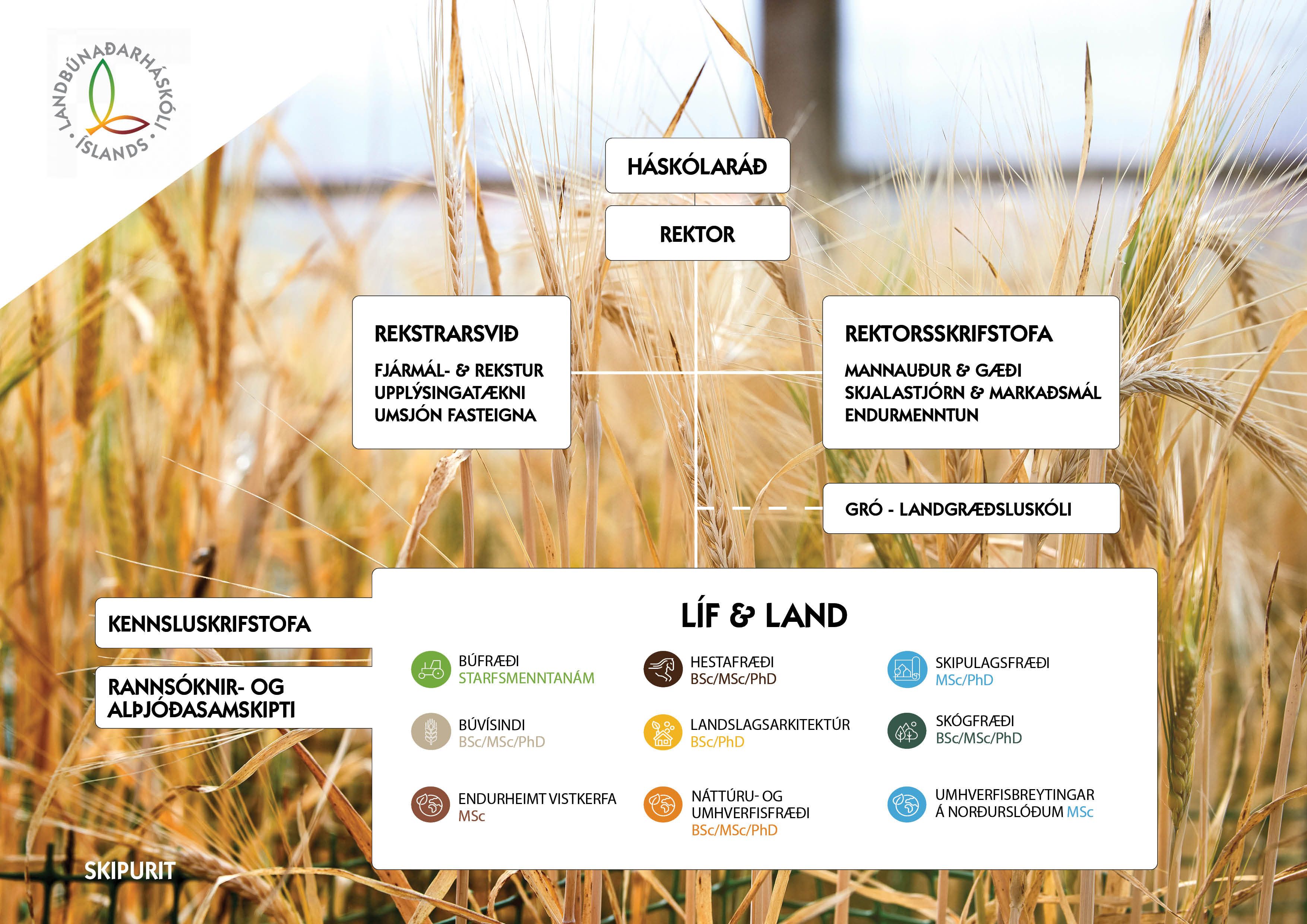 Mynd sem tengist textanum