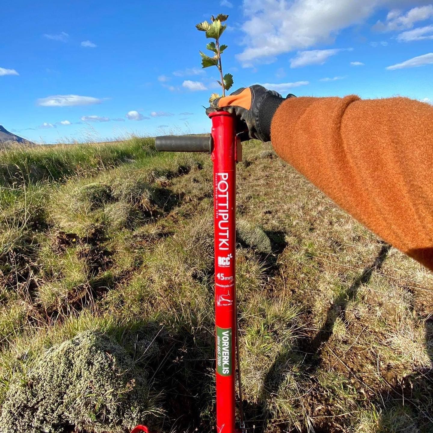 Mynd sem tengist textanum