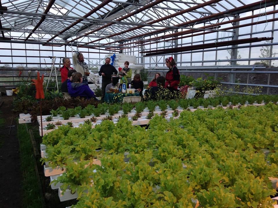 Mynd sem tengist textanum