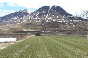 Mynd sem tengist textanum