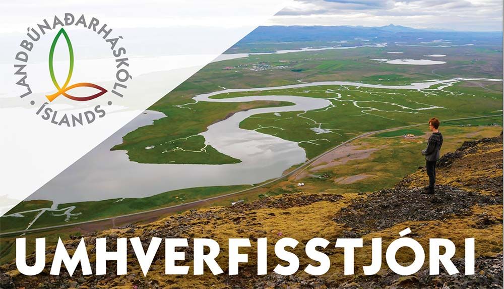 Mynd sem tengist textanum