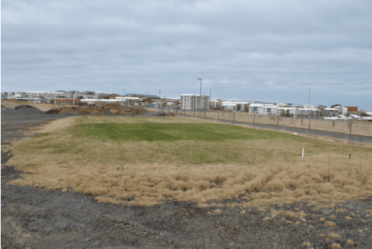 Mynd sem tengist textanum