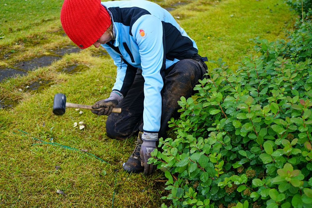 Mynd sem tengist textanum