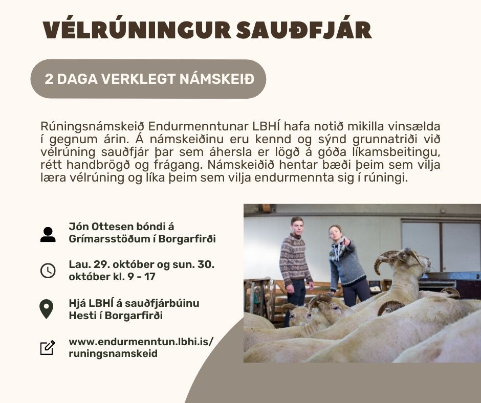 Mynd sem tengist textanum