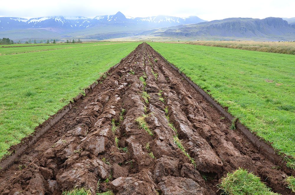 Mynd sem tengist textanum